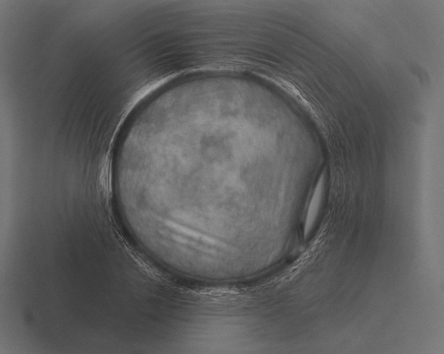 X0000116590838200912291306