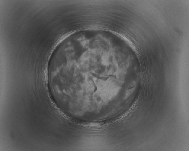 X0000116590839200912291306