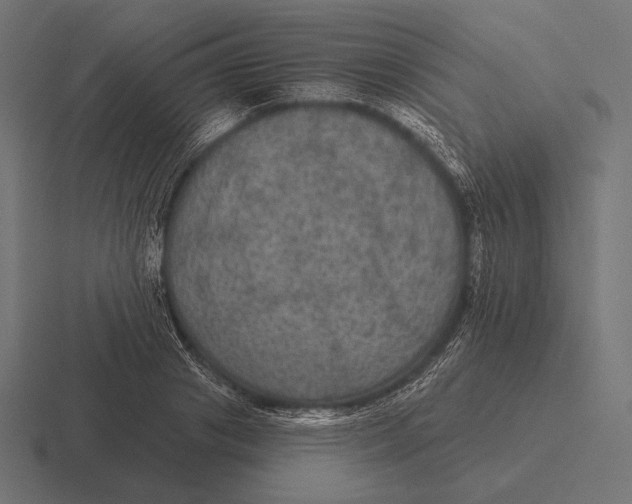 X0000116590841200912291306