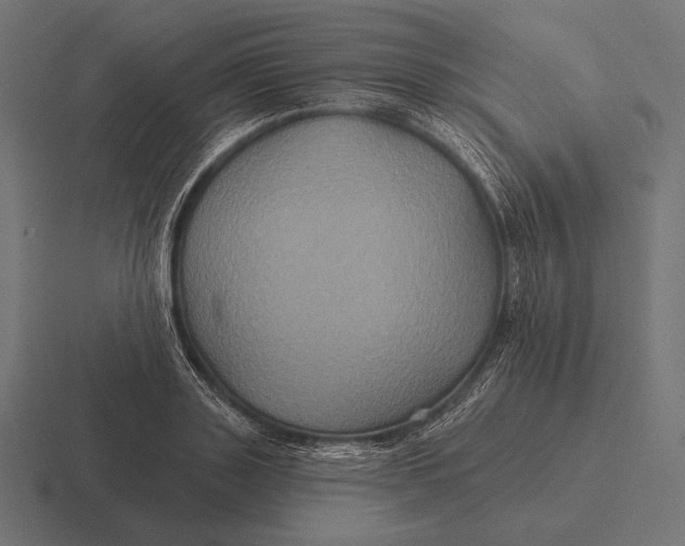 X0000116590843200912291306