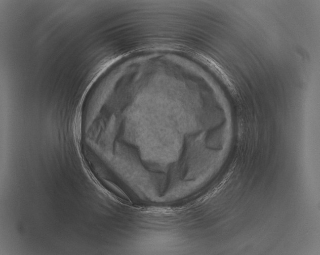 X0000116590844200912291306