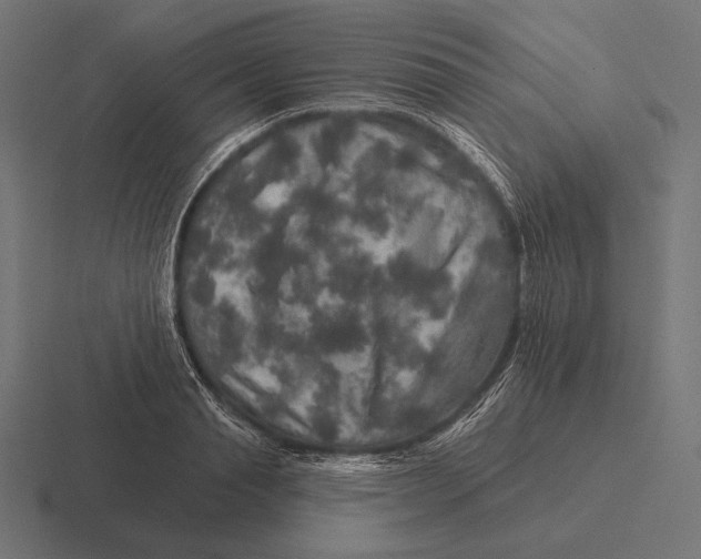 X0000116590845200912291306