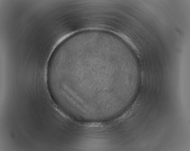 X0000116590846200912291306