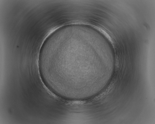 X0000116590847200912291306