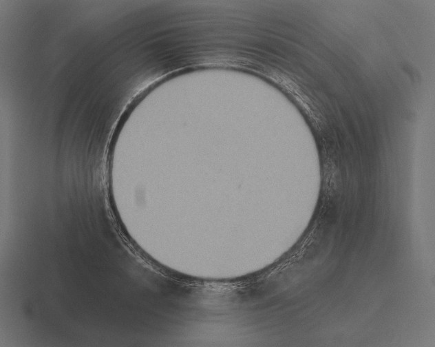 X0000116590848200912291306