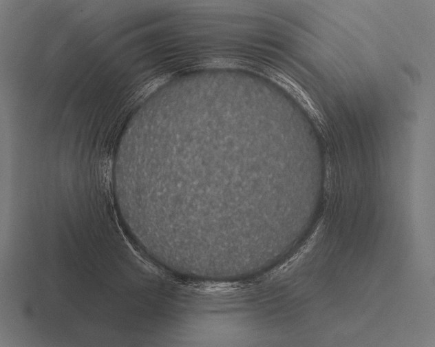 X0000116590849200912291306