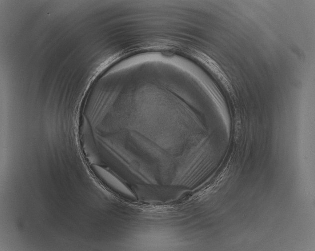 X0000116590850200912291306