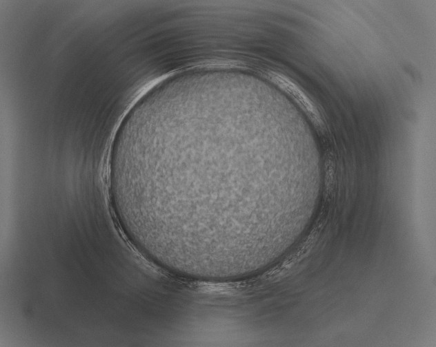 X0000116590852200912291306