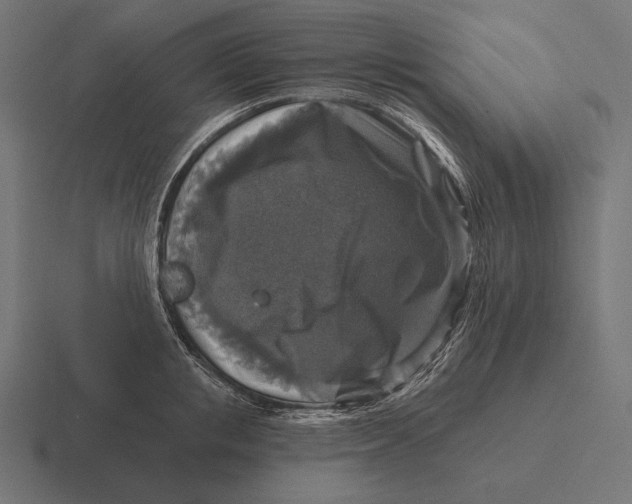 X0000116590853200912291306