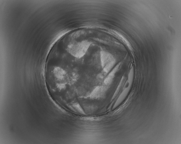 X0000116590855200912291306