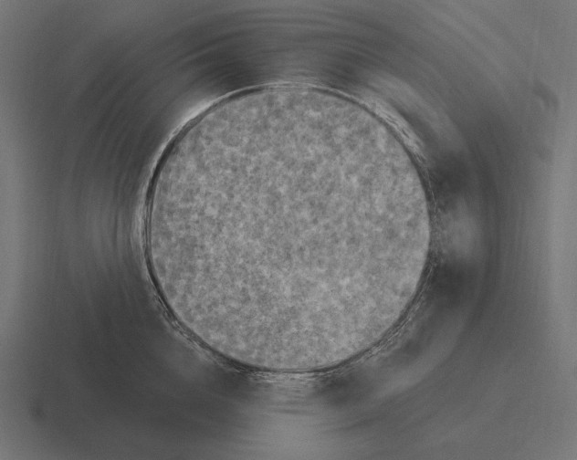 X0000116590856200912291306