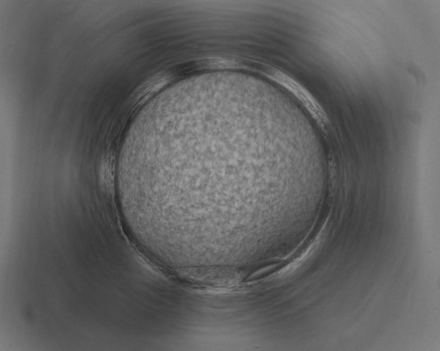 X0000116590857200912291306