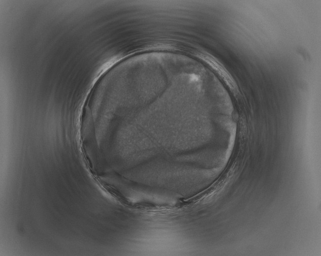 X0000116590858200912291307