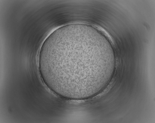 X0000116590860200912291307