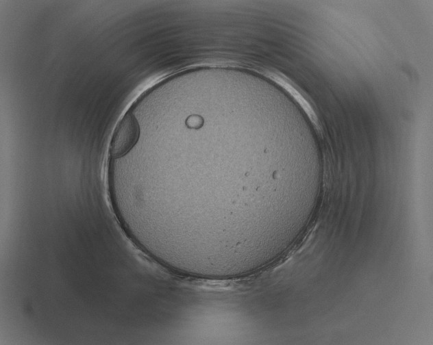 X0000116590861200912291307