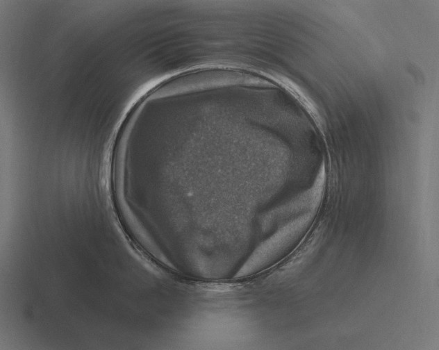 X0000116590862200912291307