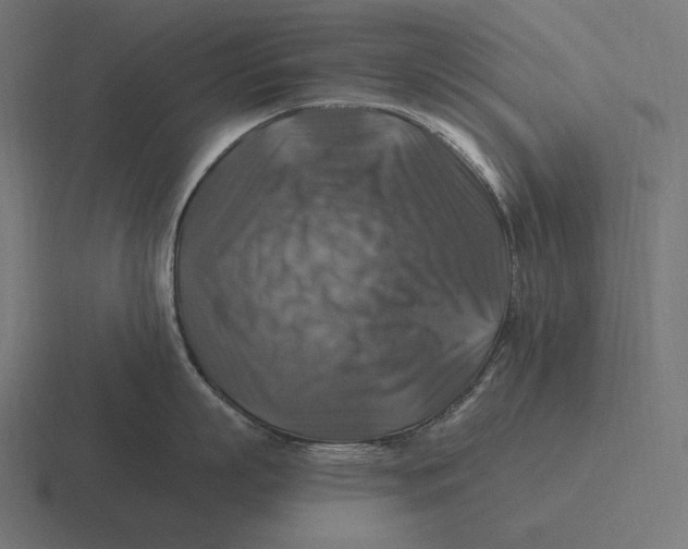 X0000116590863200912291307