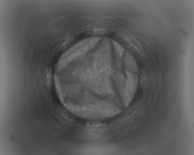 X0000116590866200912291306