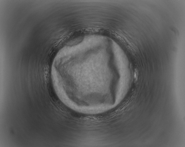 X0000116590867200912291306