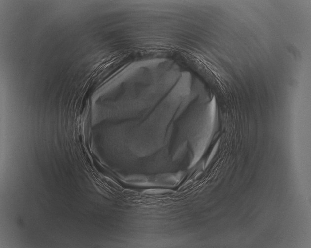 X0000116590868200912291306