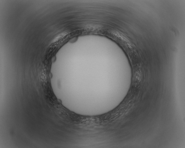 X0000116590869200912291306