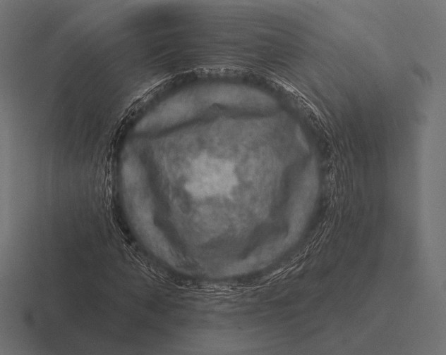 X0000116590870200912291306