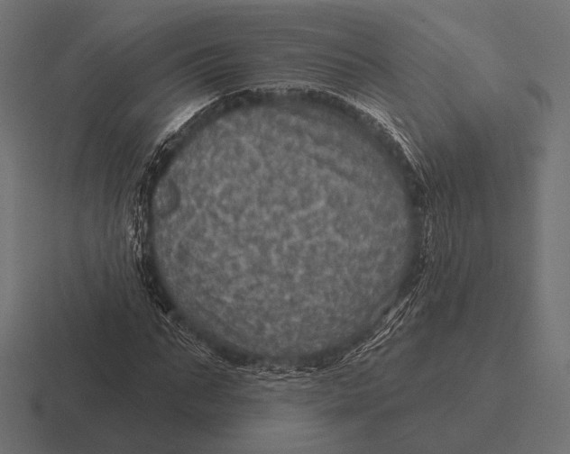 X0000116590871200912291306