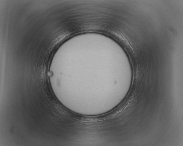 X0000116590873200912291306