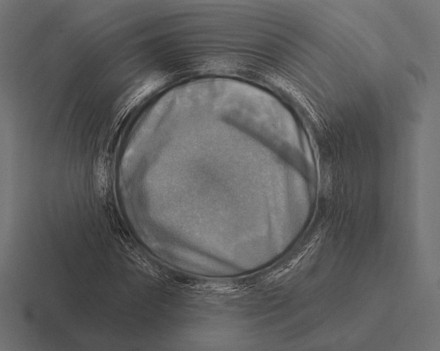 X0000116590874200912291306