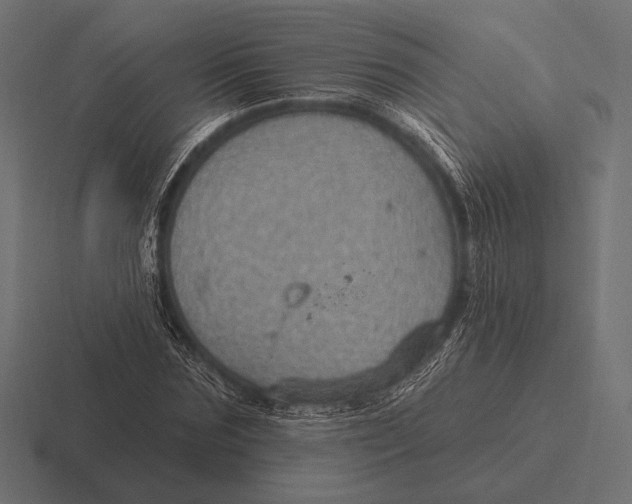 X0000116590875200912291306