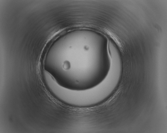 X0000116590876200912291306