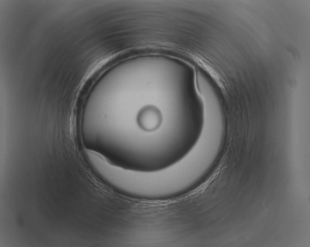 X0000116590877200912291306