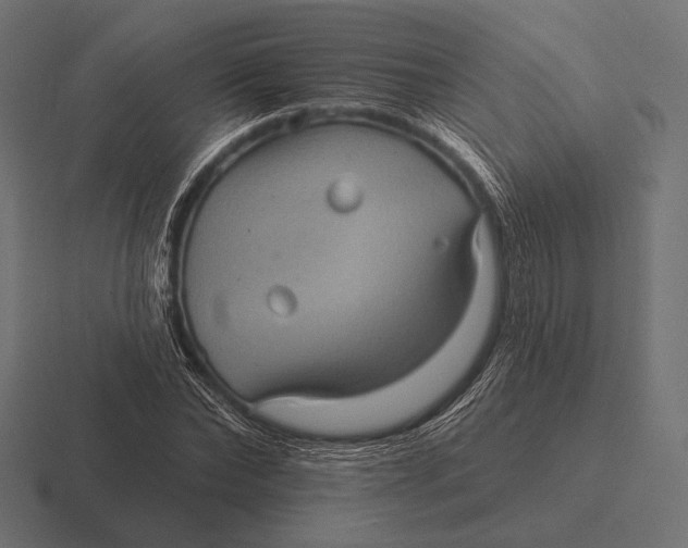 X0000116590878200912291306