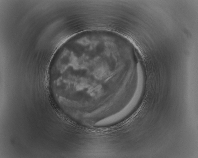 X0000116590879200912291306