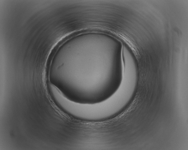 X0000116590880200912291306