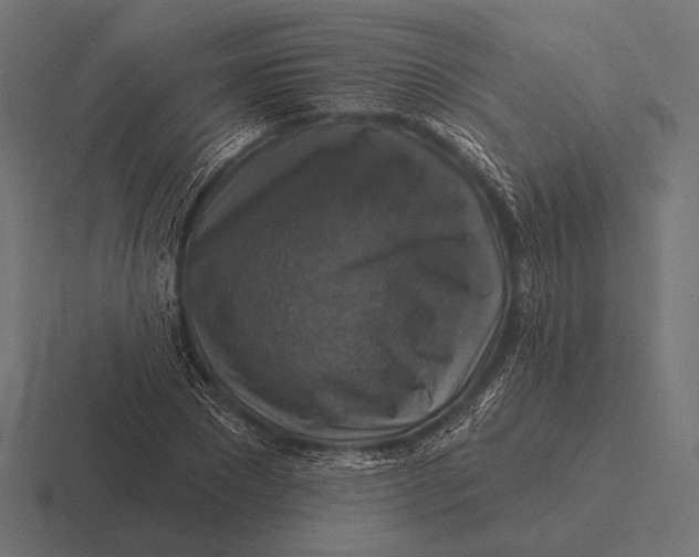 X0000116590881200912291306