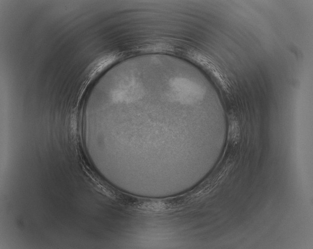 X0000116590882200912291306