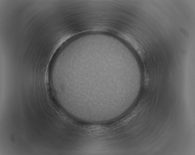 X0000116590883200912291306