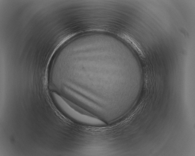 X0000116590884200912291306