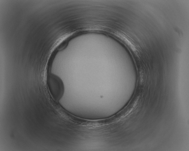 X0000116590885200912291306