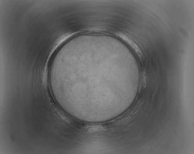 X0000116590886200912291306