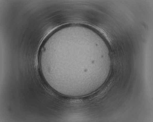 X0000116590887200912291306