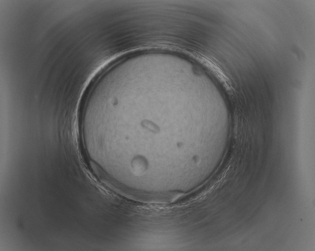 X0000116590888200912291306