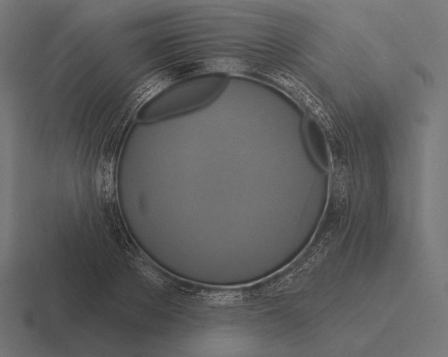 X0000116590889200912291306