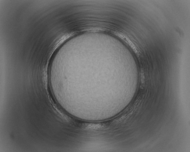 X0000116590890200912291306