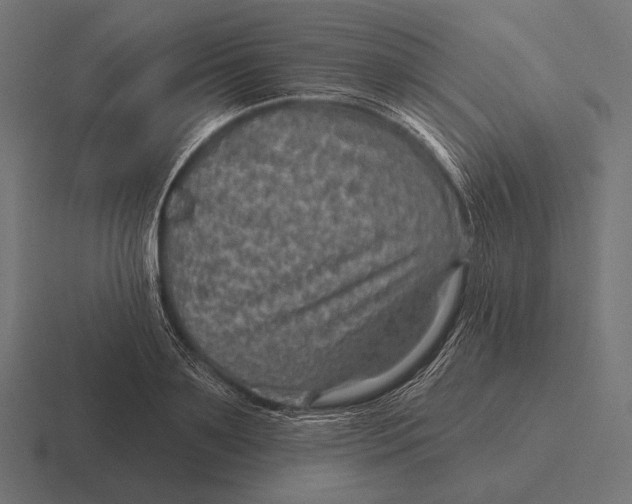 X0000116590891200912291306