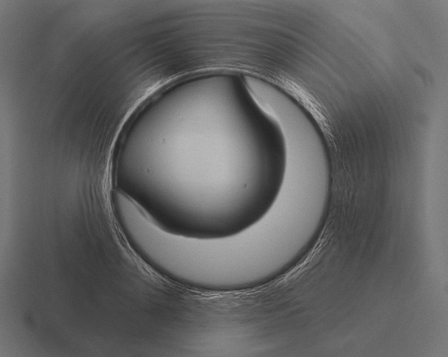 X0000116590892200912291306