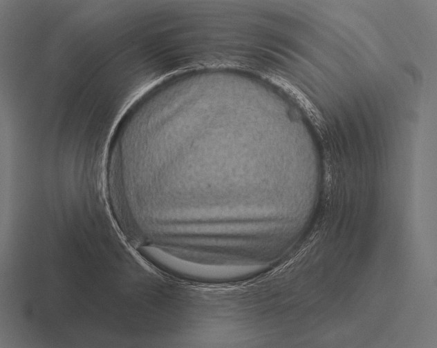 X0000116590894200912291306