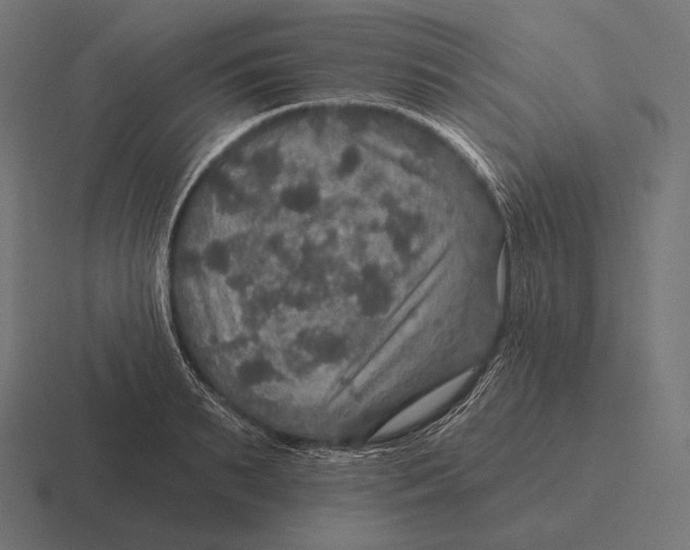 X0000116590895200912291306