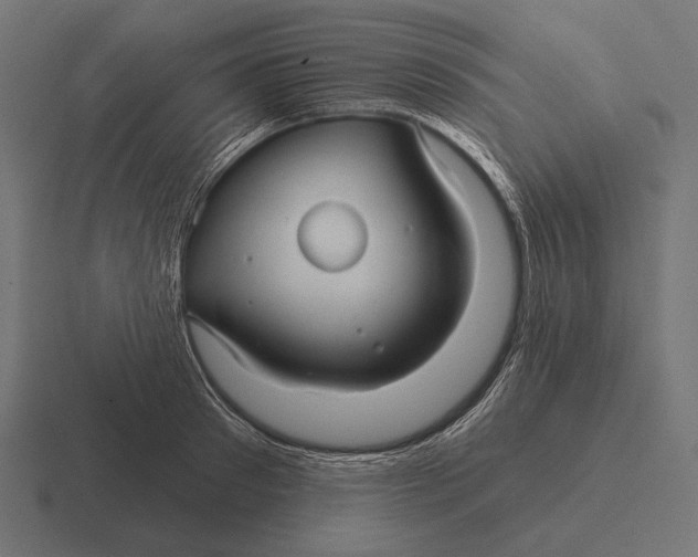 X0000116590897200912291306